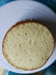 Make Creamless cake step 3