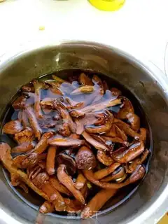 Make Red pine mushroom crotch soup step 1