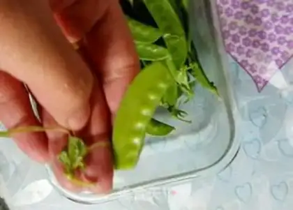 Make Weenie fried Dutch beans step 1