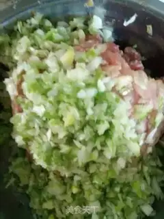 Make Spam dumplings step 3