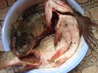 Make How to pick up the fish step 0