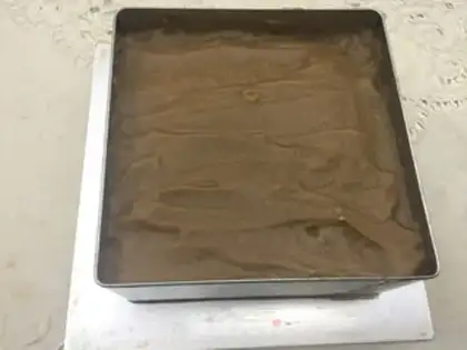 Make A spleen for kidneys step 7