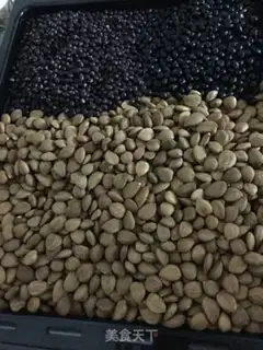 Make The fruit of the sun step 2