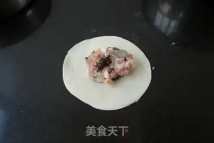 Make Seafood dumplings step 5