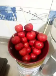 Make Ice cream step 1
