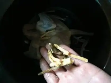 Make Party Pork Soup step 5