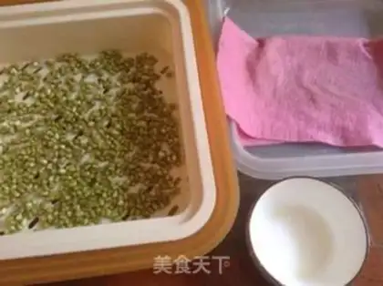 Make Green healthy bean sprouts step 2