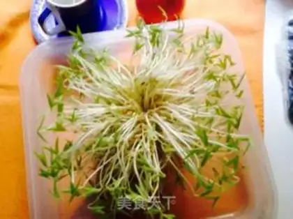 Make Green healthy bean sprouts step 5