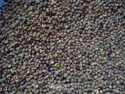 Make Homemade pepper powder step 3