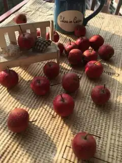 Make Homemade ice cream step 0