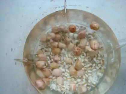 Make Plum peanuts step 2