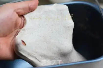 Make Chinese bean soft oaf step 3