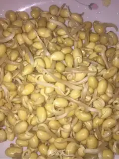 Make cucumbers, soybeans step 0