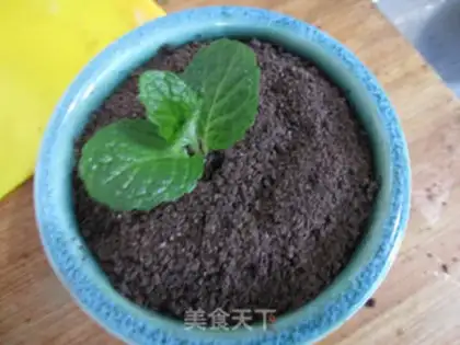 Make Porcelain yogurt step 10