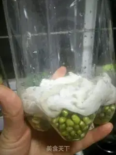 Make Pure green bean sprouts step 1