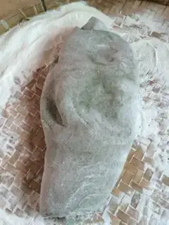 Make Carrot step 7