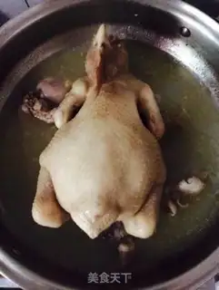 Make White pheasant step 1