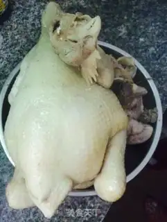 Make White pheasant step 2