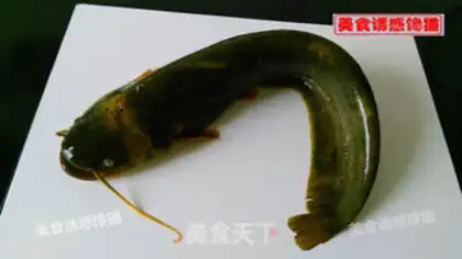 Make Fresh catfish step 0