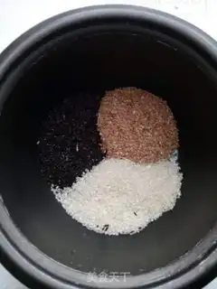Make Ants on the tree step 3