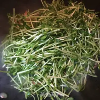 Make Bean sprouts step 6