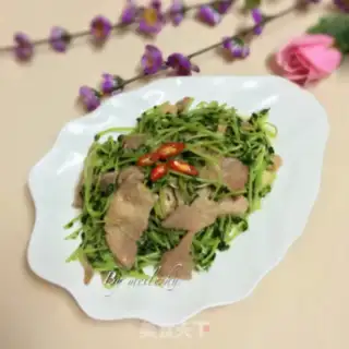 Make Bean sprouts step 9