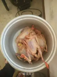 Make Red pigeon step 0