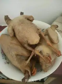 Make Red pigeon step 3