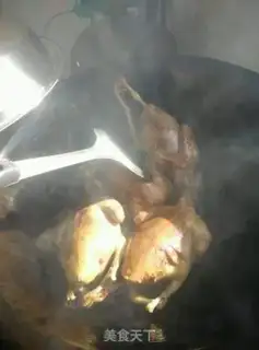 Make Red pigeon step 4