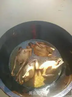Make Red pigeon step 7