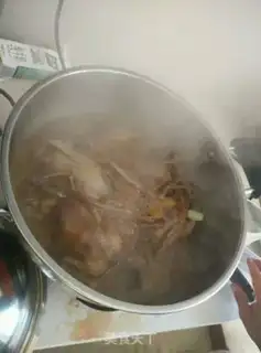 Make Red pigeon step 9