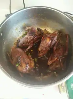 Make Red pigeon step 10