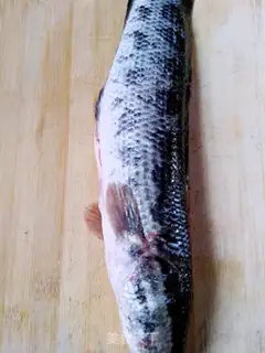 Make Sourfish step 0