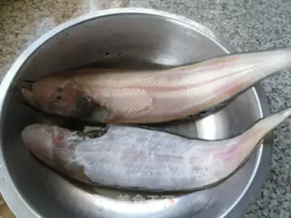 Make Dragonfish step 0
