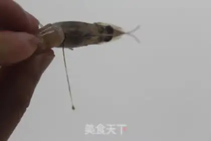 Make Salt shrimp step 1
