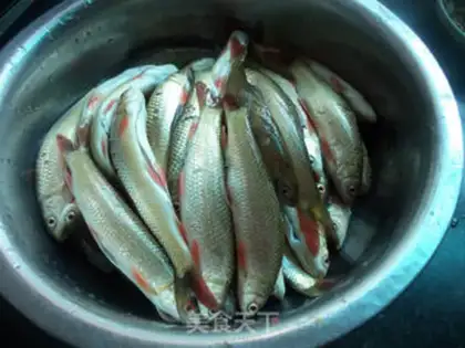 Make A yellow fish step 0