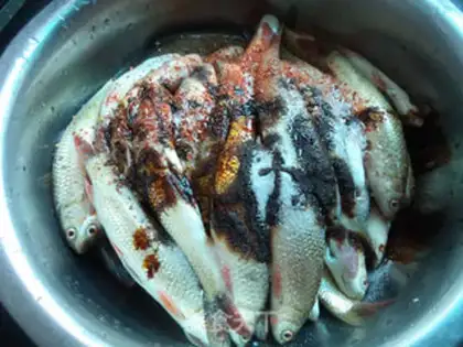 Make A yellow fish step 4