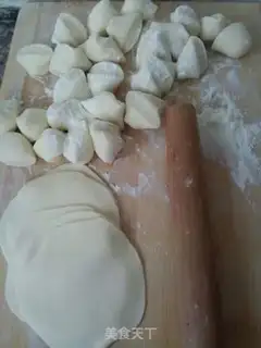 Make A lamb onion dumpling step 7