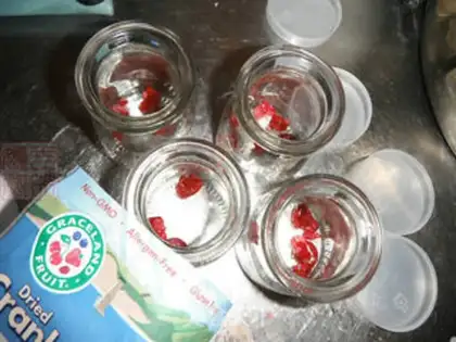 Make Cranberry milk pudding step 4