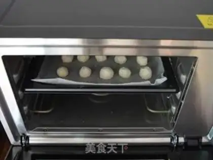 Make Protein coconut ball step 7