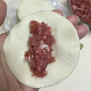 Make Fresh pot sticker step 0