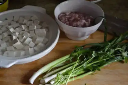Make Meat tofu step 0