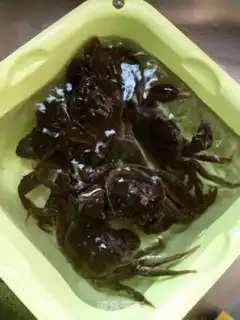 Make Crabs step 0