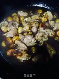Make Cricket chickens are homemade step 3