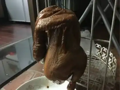 Make The whole chicken step 6