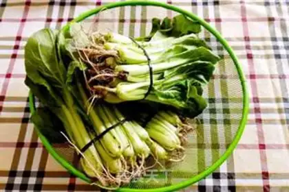 Make Homemade cabbage tofu step 5