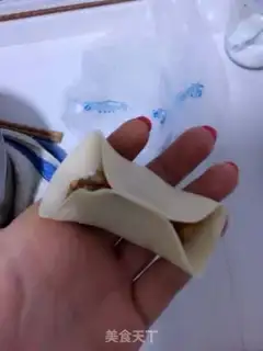 Make ♪ Four-choice dumplings ♪ step 8