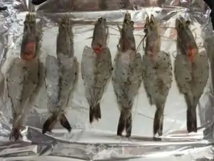 Make Cheese shrimp step 4