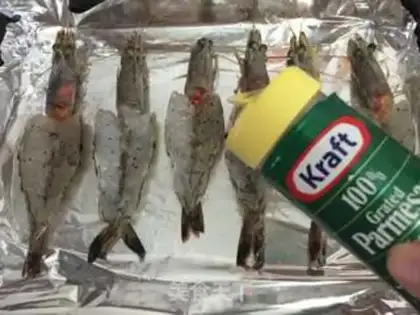 Make Cheese shrimp step 5