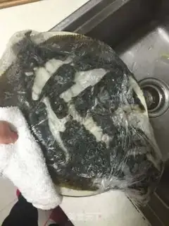 Make Microwave cleaner fish step 2